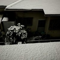 雪の華,雪の華,ヒサカキ,番外編・ごめんなさい。,＊番外編＊の画像