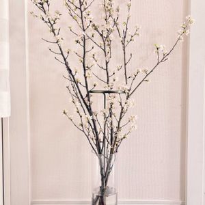 サクラ,啓翁桜,切り花,生花,枝ものの画像