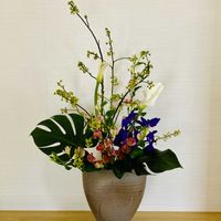 カラー,モンステラ,胡蝶蘭,アリストロメリア,キブシの画像