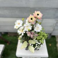 ソフォラ　リトルベイビー,ヒナソウ（白）,アネモネ・アンアリス,クリスマスローズ　リビヅス,オステオスペルマム　3D ダブルホワイトの画像