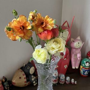 ラナンキュラス　ラックス,切り花,平和を願う☆,いつまでも友達でいよう♡の画像