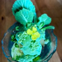 キャベツの画像