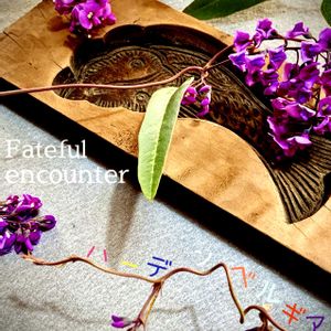 ハーデンベルギア,ヒナソウ,盆栽,小品盆栽,お庭の植物の画像