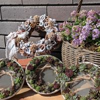 ナラフラセレクション,寄せ植え,多肉植物,多肉寄せ植え,ガーデニングの画像