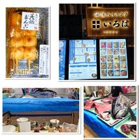 サザンカ,青空,楽しかった♪,はとバスツアー,今日も笑顔での画像