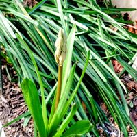 アプローチの画像