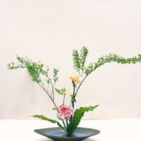 カーネーション,コデマリ,フリージア,タニワタリ,生け花の画像