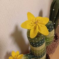 サボテン,手作り,サボテンのぬいぐるみの画像