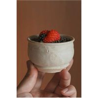 サボテン,ぼくモル鉢,ぼくモル ポタリー,ギムノカリキウム刺無牡丹玉綴化,ギムノカリキウム刺無牡丹玉綴化の画像