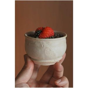 サボテン,ぼくモル鉢,ぼくモル ポタリー,ギムノカリキウム刺無牡丹玉綴化,ギムノカリキウム刺無牡丹玉綴化の画像