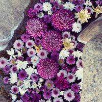 アレンジ,エントランス,その他エクステリアの画像