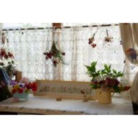 アネモネ,クリスマスローズ,ヒヤシンス,ハンドメイド,手仕事の画像