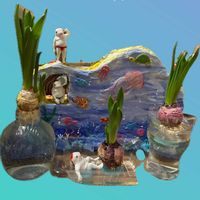 ヒヤシンス,水耕栽培,水族館,トトの日,鯉人の画像