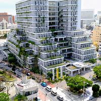 ドラセナ,ビカクシダ, ネオレゲリア,熱帯植物,沖縄県の画像