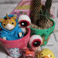 ハナニラ,クリスマスローズ,ソテツキリン,ヒマラヤ杉,名無しの薔薇の画像