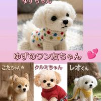 スミレ,パンジー,ビオラ,わんわん祭り,多肉植物の画像