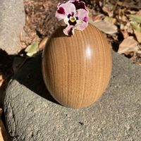 スイセン,ビオラ,一輪挿し,ビタミンカラー,植物のある暮らしの画像