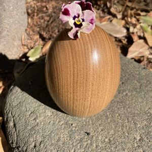 スイセン,ビオラ,一輪挿し,ビタミンカラー,植物のある暮らしの画像