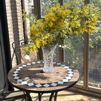 クリスマスローズ,ミモザ,癒し,ミモザの木,花のある暮らしの画像