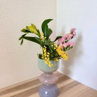 スターチス,フリージア,ミモザ,ルスカス,切り花の画像