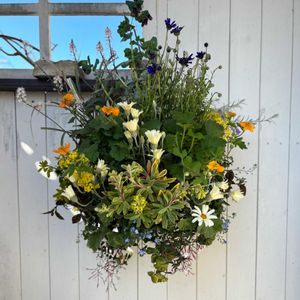 寄せ植え,ハンギングバスケットの画像