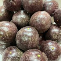 パッションフルーツ,地植え,スマホ撮影,おうち園芸,小さな庭の画像