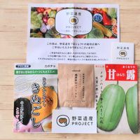甘露まくわうり,純系愛知ファースト,グリーンのある暮らし,お野菜,野菜作りの画像