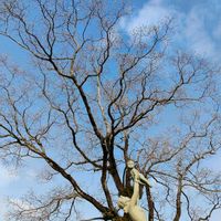 ナンキンハゼ,長崎,長崎旅行,長崎平和公園,ゆん旅話の画像