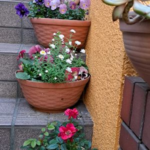 階段/廊下の画像