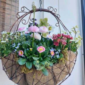 クリスマスローズ,デージー,ヒヤシンス,クモマグサ,ギャザリングの画像