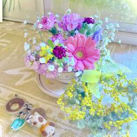 ガーベラ,かすみ草,春の花,ミニアレンジ♡,ミニアレンジ♡の画像