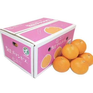 シクラメン,ガーデンシクラメン,ガーデンシクラメン,紅プリンセス,花のある暮らしの画像