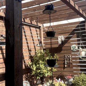 雑貨,ガーデニングの画像