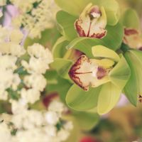 和室,小さな庭,テラス,家庭菜園,玄関アプローチの画像