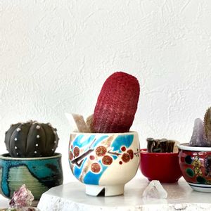 サボテン,紫太陽,エキノセレウス 紫太陽,サボテンの花,赤いサボテンの画像