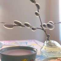 ネコヤナギ,猫柳(ねこやなぎ),桜ラテ,枝もの,ティータイムの画像