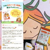 トマト,ミニトマト,オレンジアイコ,プレゼント,感謝の画像