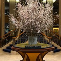 スイートピー,ケイオウザクラ,啓翁桜（けいおうざくら）,啓翁桜(けいおうざくら),帝国ホテルロビー装花の画像