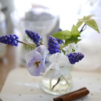 ムスカリ,切り花,ベランダガーデン,ガーデニング,ベランダガーデニングの画像