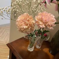 カーネーション,百合,ご近所,iPhone撮影,友人宅の画像