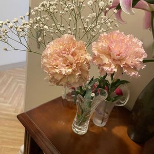 カーネーション,百合,ご近所,iPhone撮影,友人宅の画像