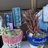 十二の巻,キュンキュン乙女倶楽部,バラと夢CLUB,十二の日,お散歩ちゃんキーホルダーの画像