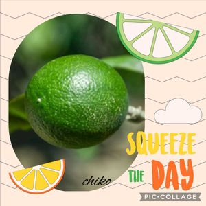 鉢植え,花のある暮らし,緑のある暮らし,今日のお花,汚庭の画像