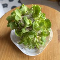 窓辺,キッチンの画像