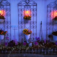 葉牡丹,ビオラ,虹色スミレ,ハンキング,ソーラーライトの画像