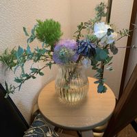 トルコキキョウの画像