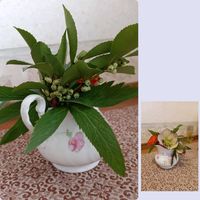 ヒサカキ,トイレ・洗面所の画像