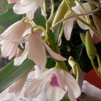 キッチンの画像