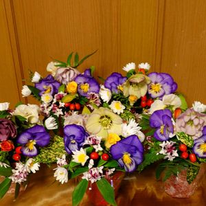 クリスマスローズ,ジンチョウゲ,ノースポール,斑入りアオキの実,伝説の八重バンジーファビュラスの画像