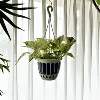 ポトス,ポトスマーブルクイーン,リビング・ダイニングの画像